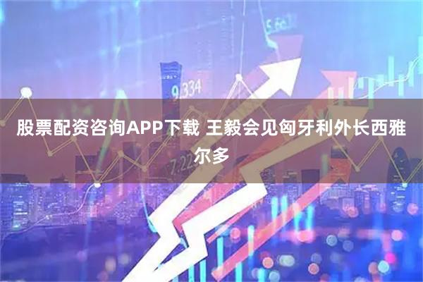股票配资咨询APP下载 王毅会见匈牙利外长西雅尔多