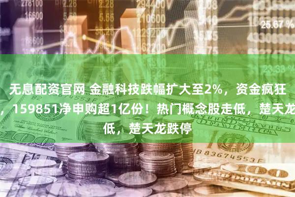无息配资官网 金融科技跌幅扩大至2%,资金疯狂吸筹,159851净申购超1亿份!热门概念股走低,楚天龙跌停