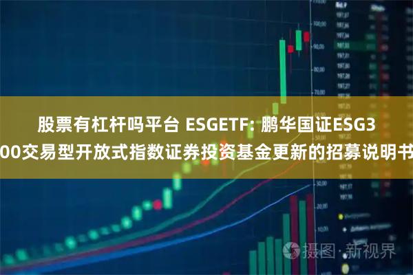 股票有杠杆吗平台 ESGETF: 鹏华国证ESG300交易型开放式指数证券投资基金更新的招募说明书